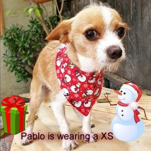 š¶ 3 for $15 * Pablo Christmas Snowman Snap Dog Bandana